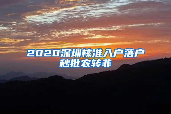 2020深圳核准入户落户秒批农转非