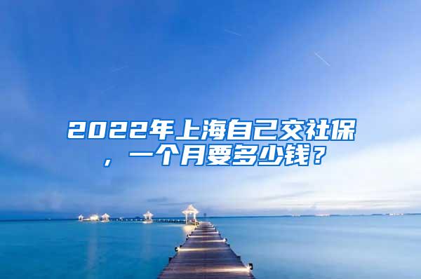 2022年上海自己交社保，一个月要多少钱？