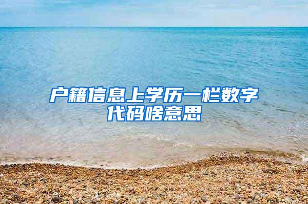 户籍信息上学历一栏数字代码啥意思