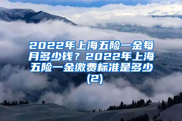 2022年上海五险一金每月多少钱？2022年上海五险一金缴费标准是多少 (2)