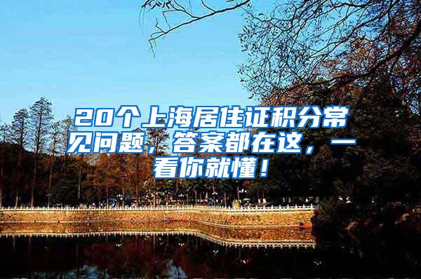 20个上海居住证积分常见问题，答案都在这，一看你就懂！