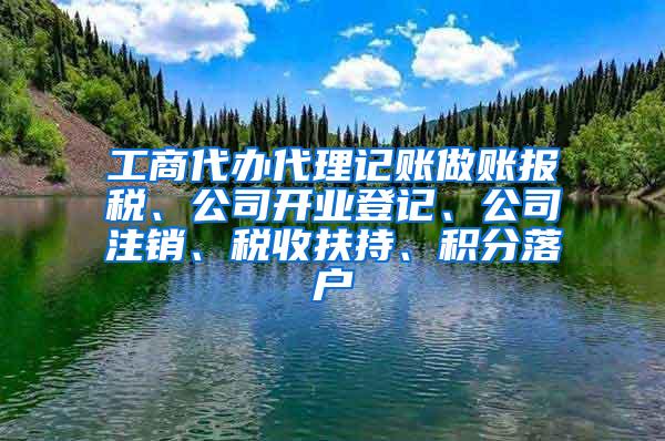 工商代办代理记账做账报税、公司开业登记、公司注销、税收扶持、积分落户