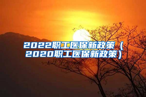 2022职工医保新政策（2020职工医保新政策）