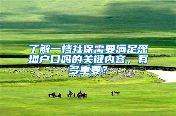 了解一档社保需要满足深圳户口吗的关键内容，有多重要？