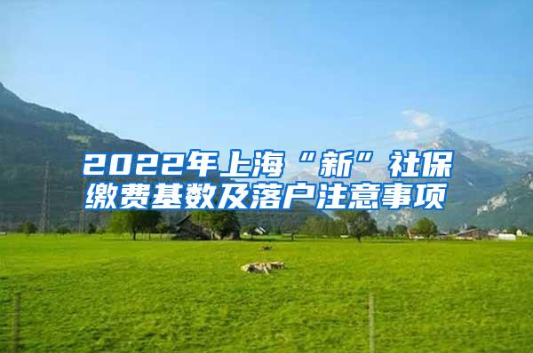 2022年上海“新”社保缴费基数及落户注意事项