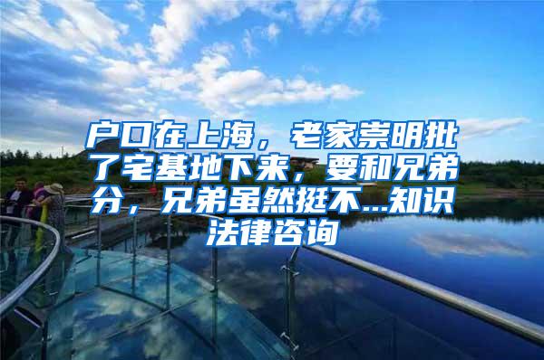 户口在上海，老家崇明批了宅基地下来，要和兄弟分，兄弟虽然挺不...知识法律咨询