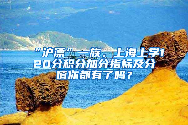 “沪漂”一族，上海上学120分积分加分指标及分值你都有了吗？