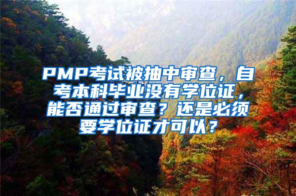 PMP考试被抽中审查，自考本科毕业没有学位证，能否通过审查？还是必须要学位证才可以？