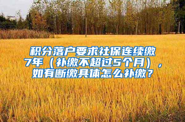 积分落户要求社保连续缴7年（补缴不超过5个月），如有断缴具体怎么补缴？