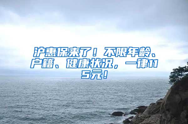 沪惠保来了！不限年龄、户籍、健康状况，一律115元！