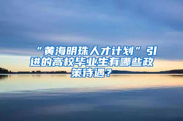 “黄海明珠人才计划”引进的高校毕业生有哪些政策待遇？