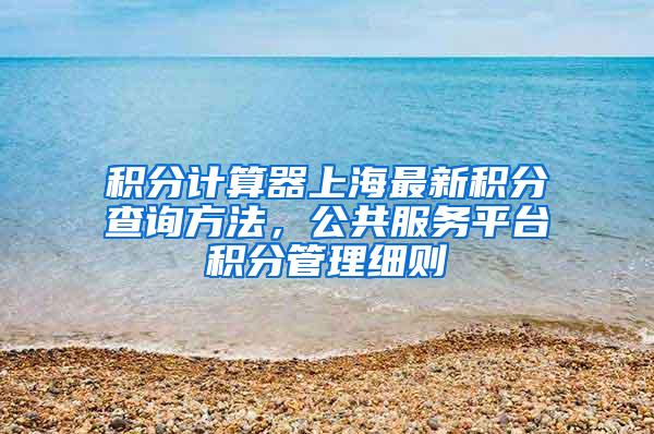 积分计算器上海最新积分查询方法，公共服务平台积分管理细则