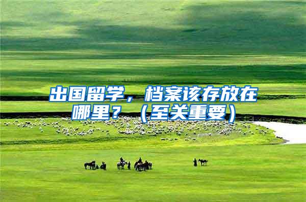 出国留学，档案该存放在哪里？（至关重要）