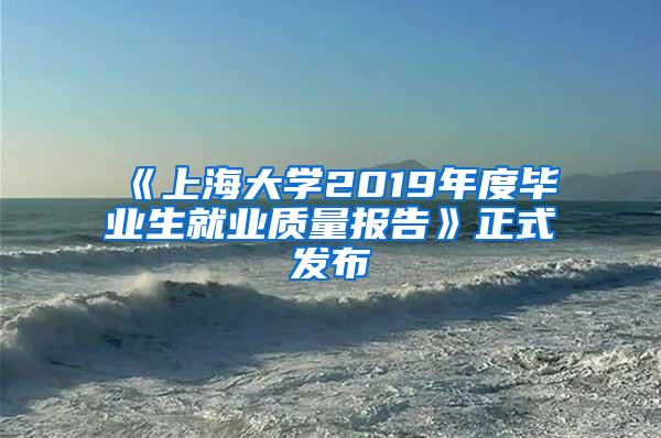 《上海大学2019年度毕业生就业质量报告》正式发布