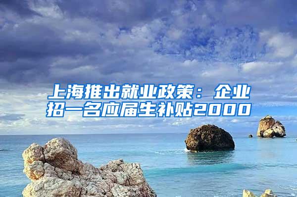 上海推出就业政策：企业招一名应届生补贴2000