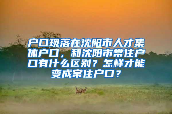 户口现落在沈阳市人才集体户口，和沈阳市常住户口有什么区别？怎样才能变成常住户口？