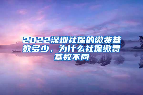 2022深圳社保的缴费基数多少，为什么社保缴费基数不同