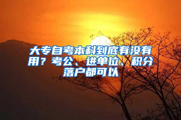 大专自考本科到底有没有用？考公、进单位、积分落户都可以