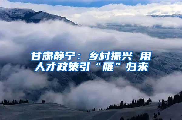 甘肃静宁：乡村振兴 用人才政策引“雁”归来