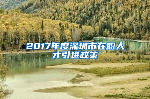 2017年度深圳市在职人才引进政策