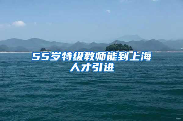 55岁特级教师能到上海人才引进