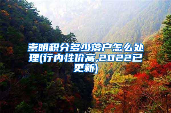 崇明积分多少落户怎么处理(行内性价高,2022已更新)