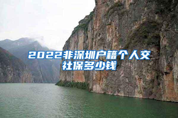 2022非深圳户籍个人交社保多少钱