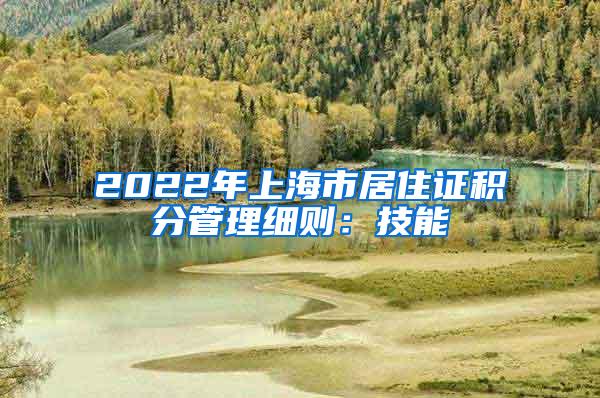 2022年上海市居住证积分管理细则：技能