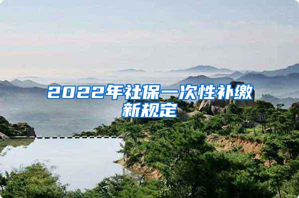 2022年社保一次性补缴新规定