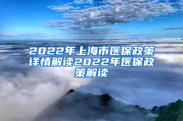 2022年上海市医保政策详情解读2022年医保政策解读
