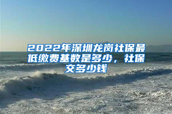 2022年深圳龙岗社保最低缴费基数是多少，社保交多少钱