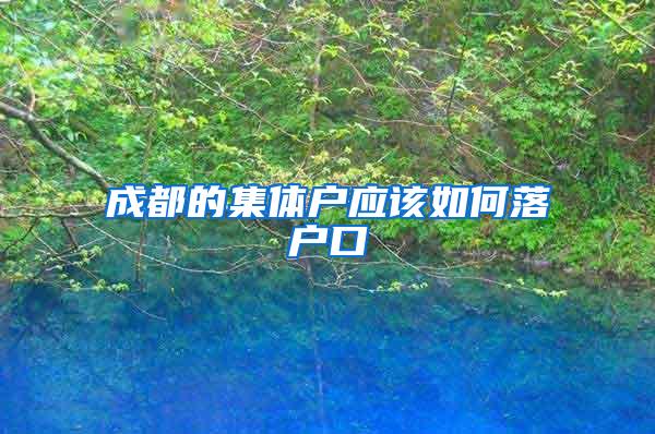 成都的集体户应该如何落户口