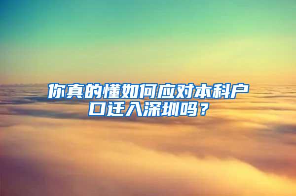 你真的懂如何应对本科户口迁入深圳吗？