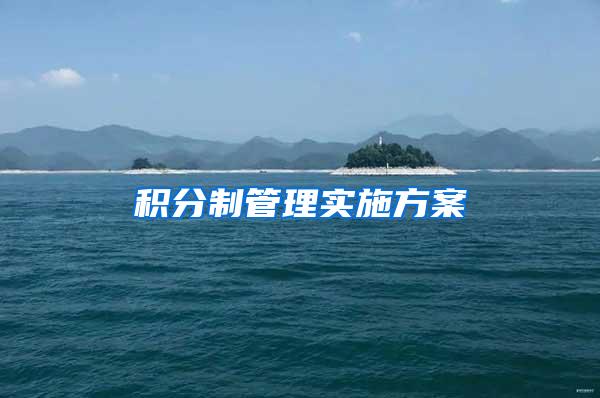 积分制管理实施方案