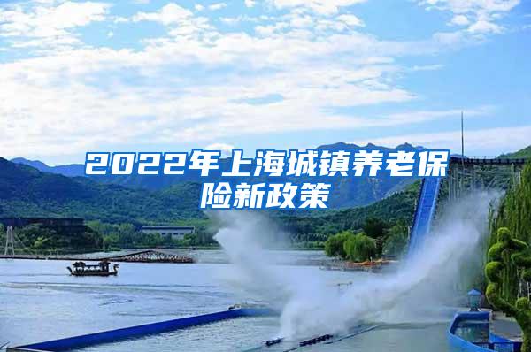 2022年上海城镇养老保险新政策