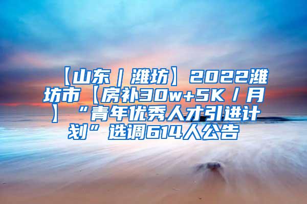 【山东｜潍坊】2022潍坊市【房补30w+5K／月】“青年优秀人才引进计划”选调614人公告