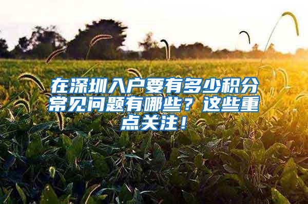 在深圳入户要有多少积分常见问题有哪些？这些重点关注！