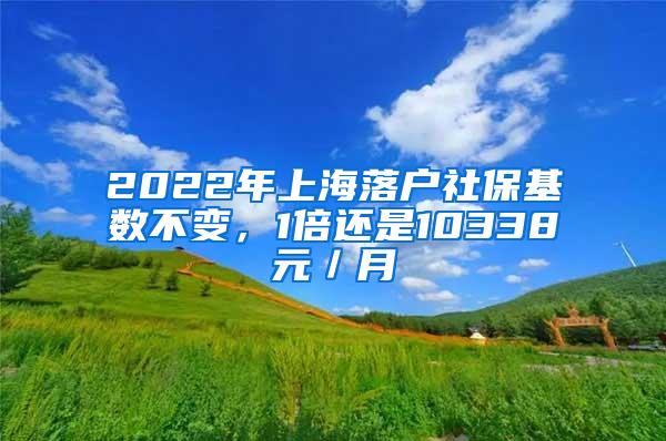 2022年上海落户社保基数不变，1倍还是10338元／月