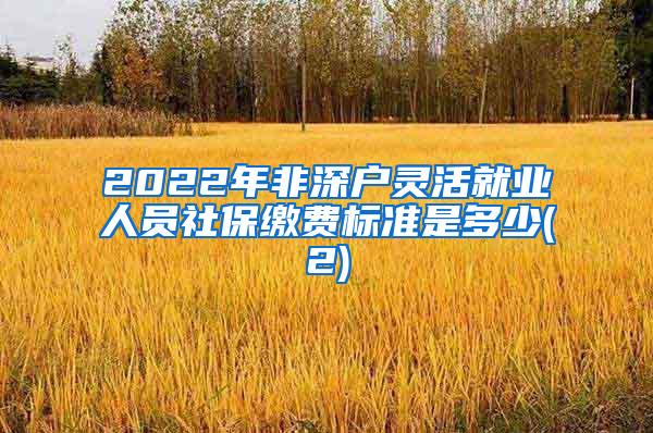 2022年非深户灵活就业人员社保缴费标准是多少(2)