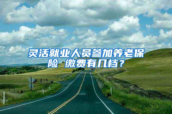 灵活就业人员参加养老保险 缴费有几档？