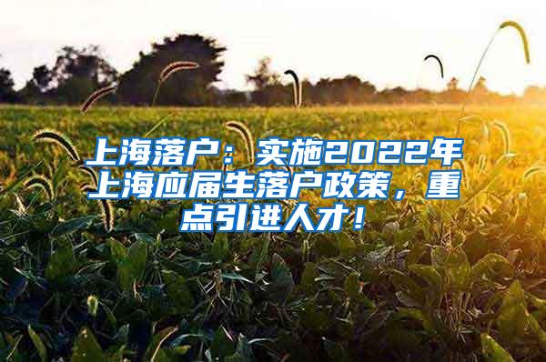 上海落户：实施2022年上海应届生落户政策，重点引进人才！