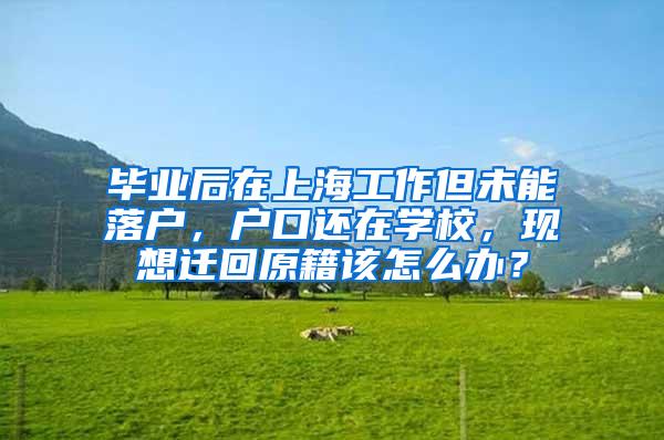 毕业后在上海工作但未能落户，户口还在学校，现想迁回原籍该怎么办？