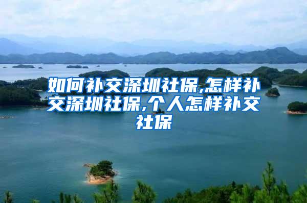 如何补交深圳社保,怎样补交深圳社保,个人怎样补交社保