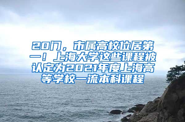 20门，市属高校位居第一！上海大学这些课程被认定为2021年度上海高等学校一流本科课程