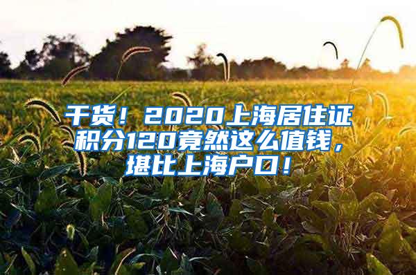 干货！2020上海居住证积分120竟然这么值钱，堪比上海户口！
