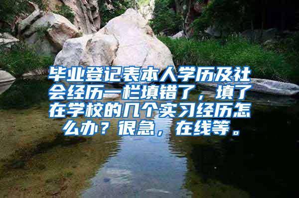 毕业登记表本人学历及社会经历一栏填错了，填了在学校的几个实习经历怎么办？很急，在线等。