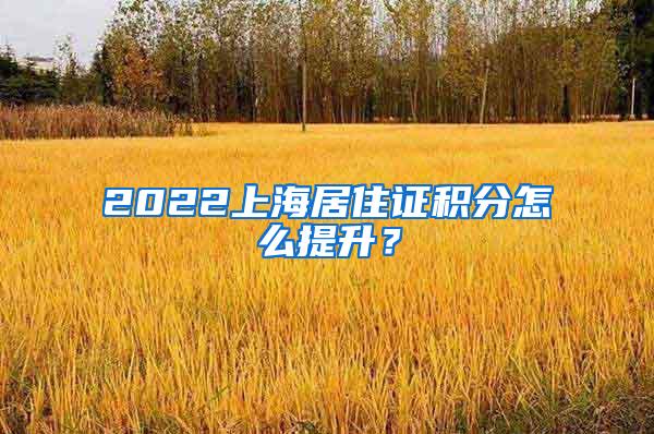 2022上海居住证积分怎么提升？