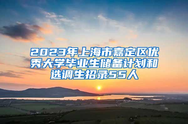 2023年上海市嘉定区优秀大学毕业生储备计划和选调生招录55人