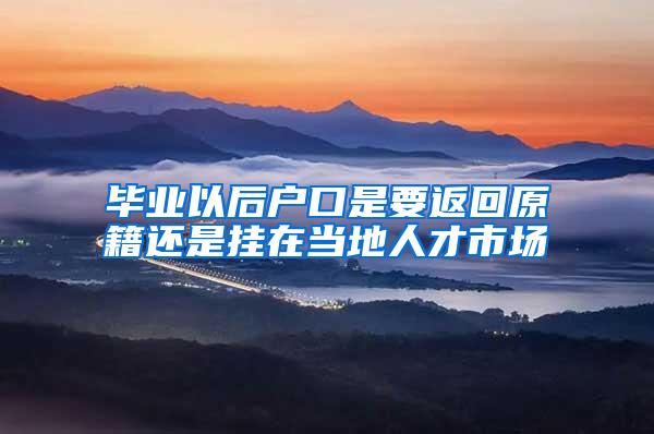 毕业以后户口是要返回原籍还是挂在当地人才市场