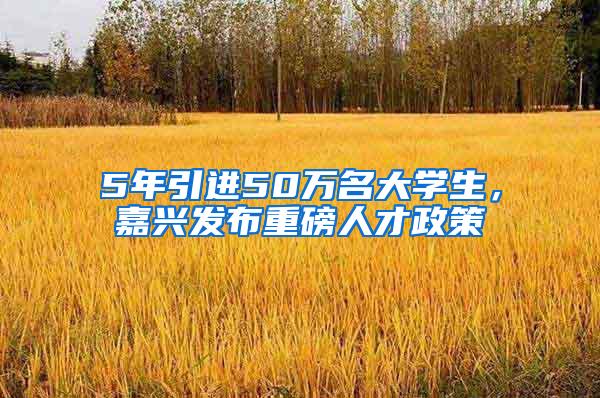 5年引进50万名大学生，嘉兴发布重磅人才政策